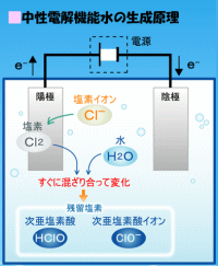中性電解機能水の生成原理